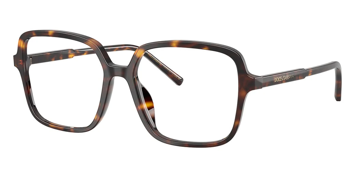 Dolce&Gabbana DG3442 502