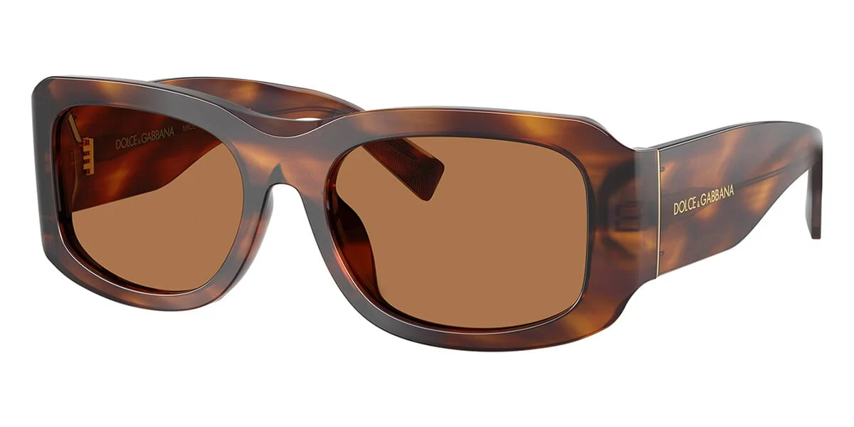 Dolce&Gabbana DG4503 3063/73