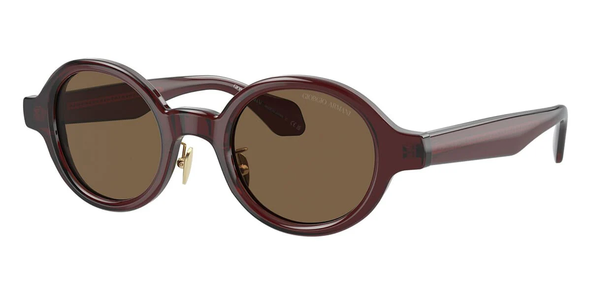 Giorgio Armani AR8205 6062/73
