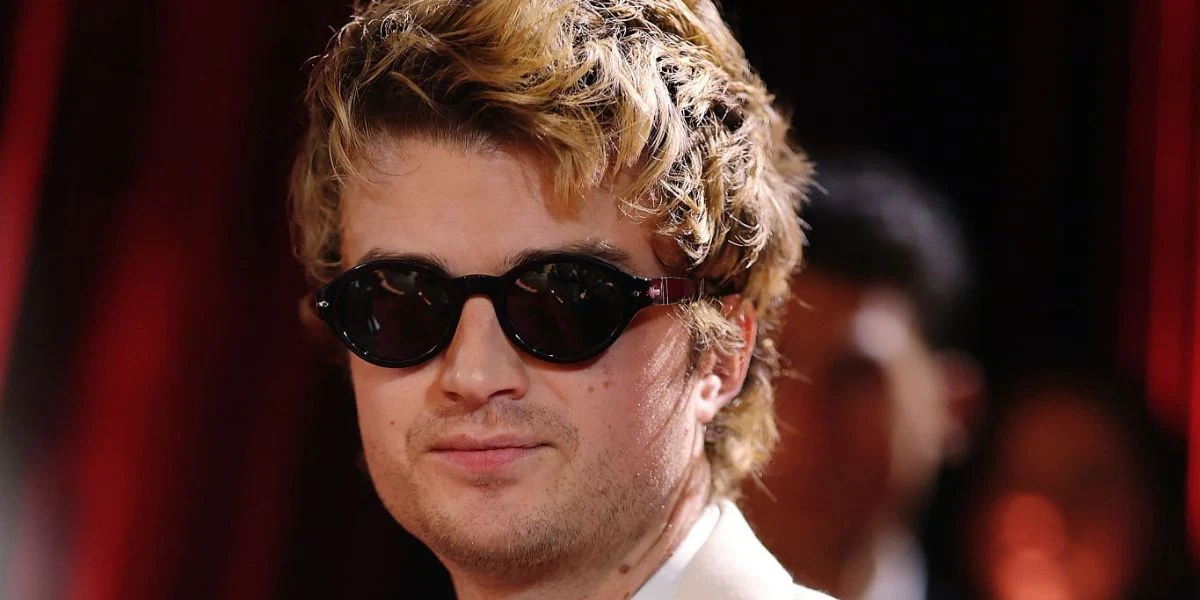 Persol Loris 3378S 95/31 - As Seen On Joe Keery & Emma Stone - Image 4