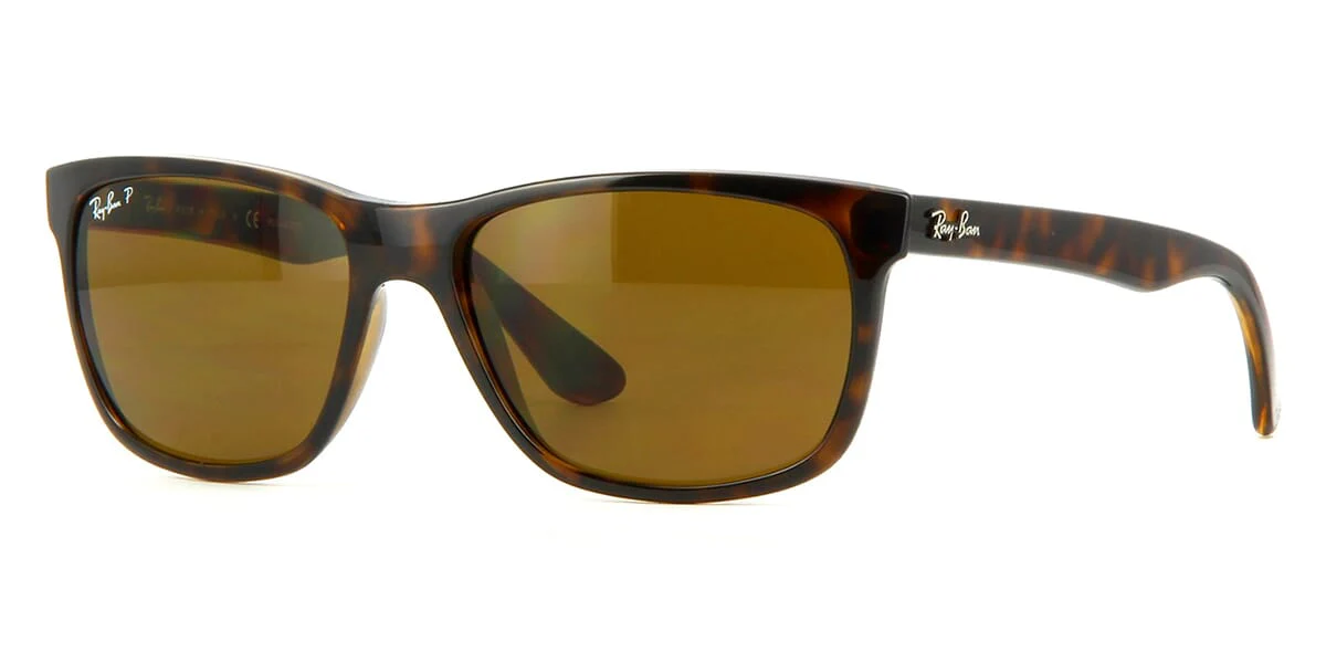 Ray-Ban RB 4181 710/83 Polarised