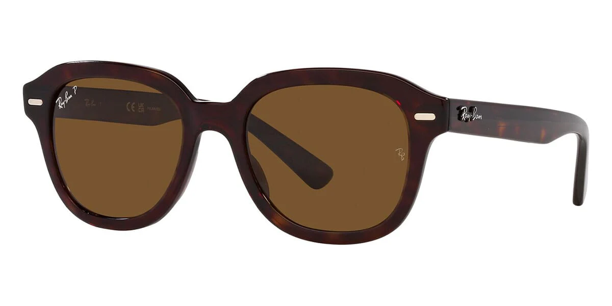 Ray-Ban Erik RB 4398 902/57 Polarised