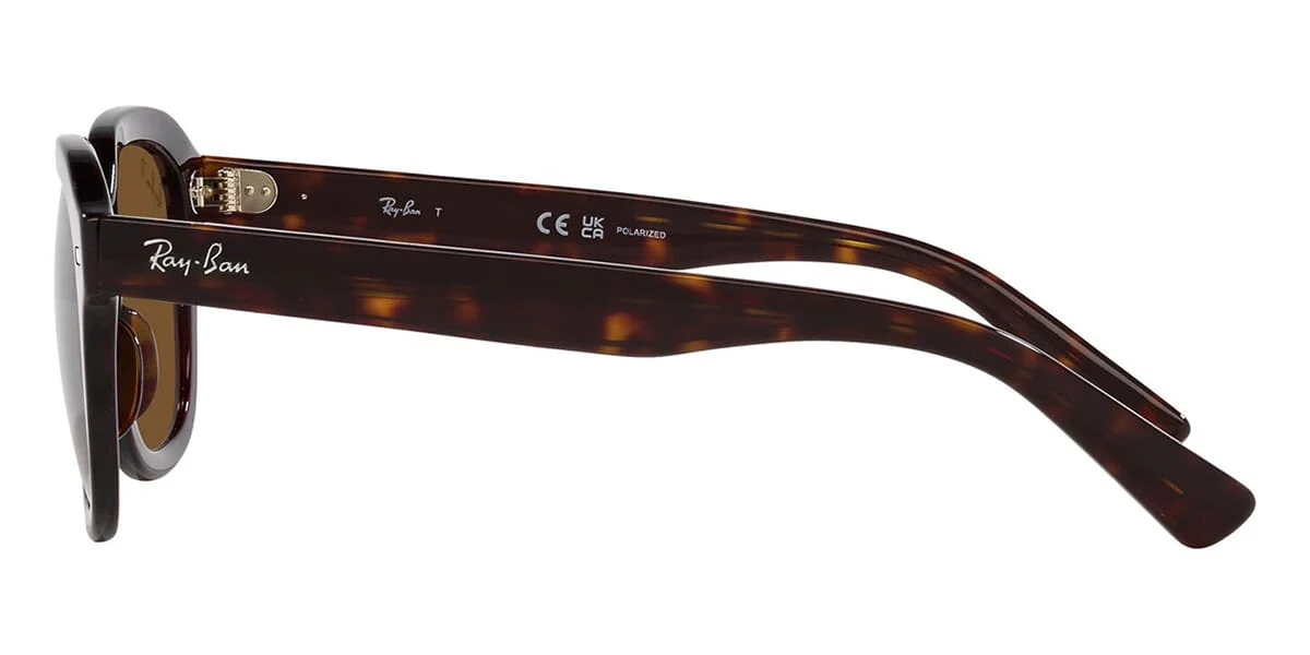 Ray-Ban Erik RB 4398 902/57 Polarised - Image 3