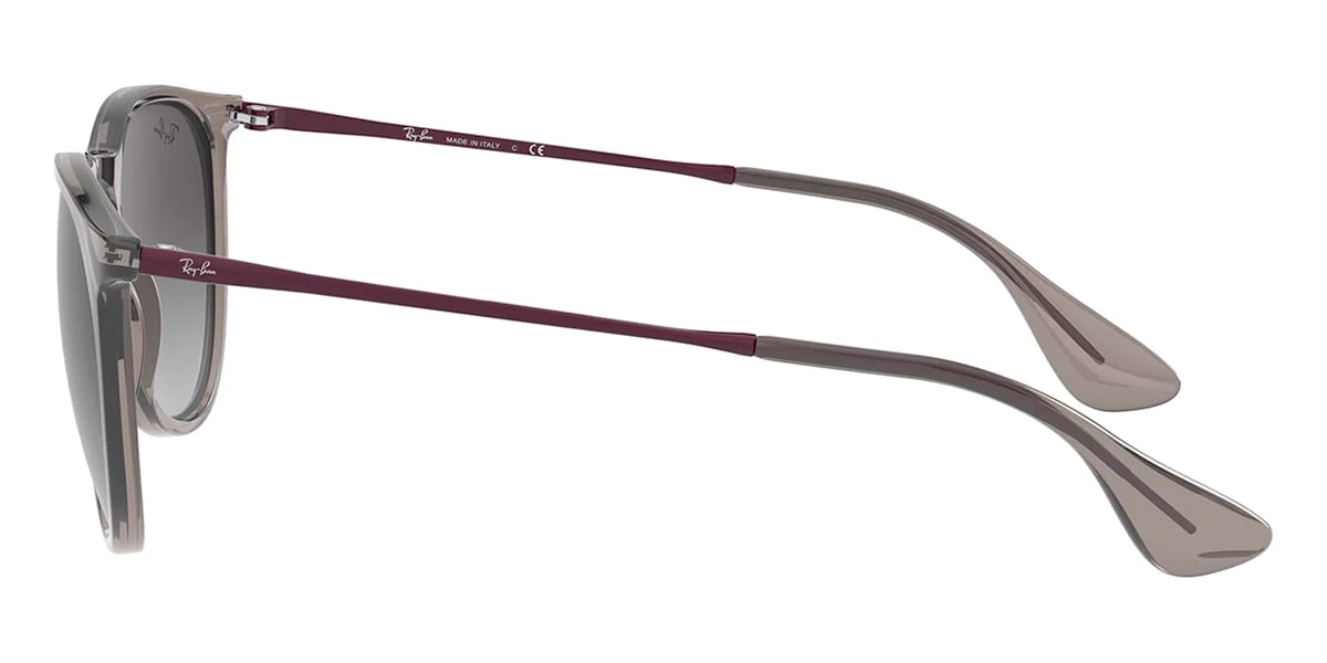 Ray-Ban Erika RB 4171 6513/8G - Image 3