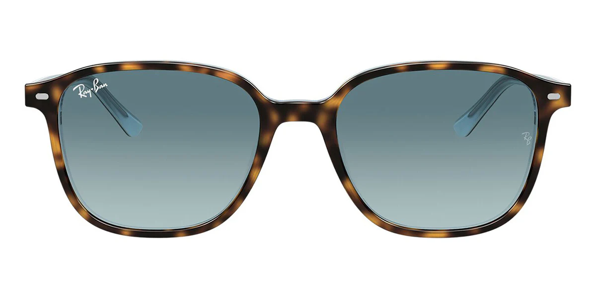 Ray-Ban Leonard RB 2193 1316/3M - Image 2
