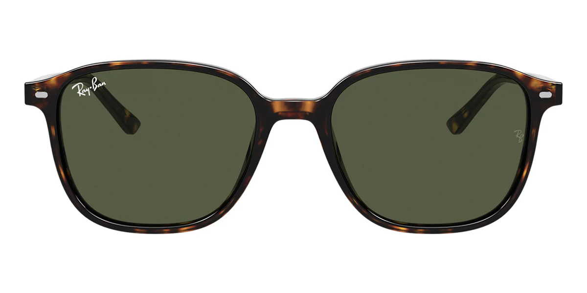 Ray-Ban Leonard RB 2193 902/31 - Image 2