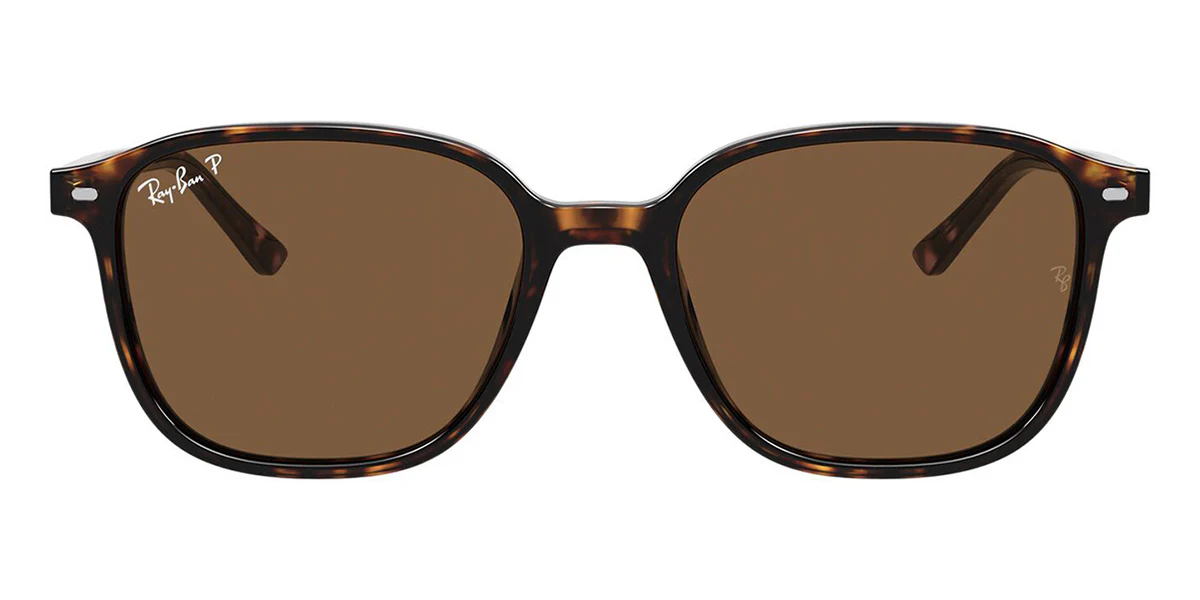 Ray-Ban Leonard RB 2193 902/57 Polarised - Image 2