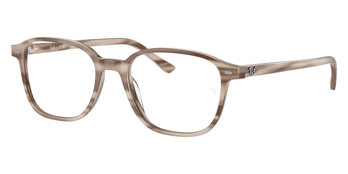 Ray-Ban Leonard RB 5393 8357
