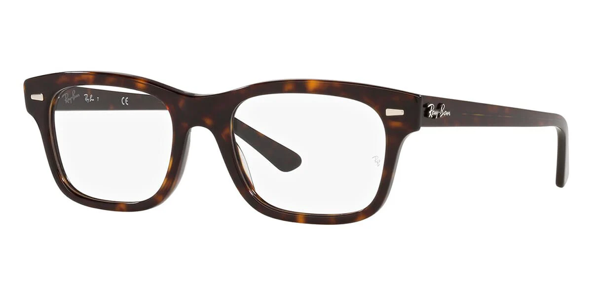 Ray-Ban Mr Burbank RB 5383 2012