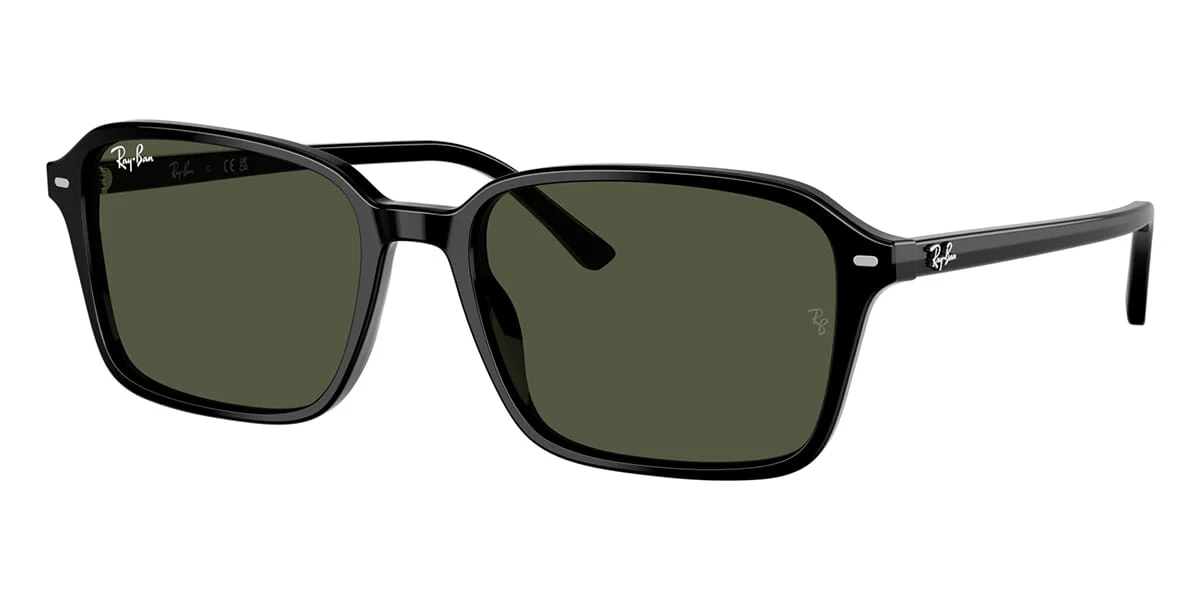 Ray-Ban Raimond RB 2231 901/31