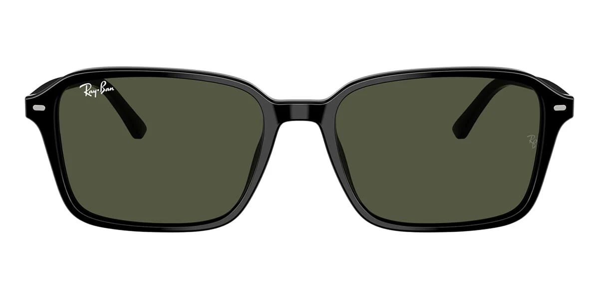 Ray-Ban Raimond RB 2231 901/31 - Image 2
