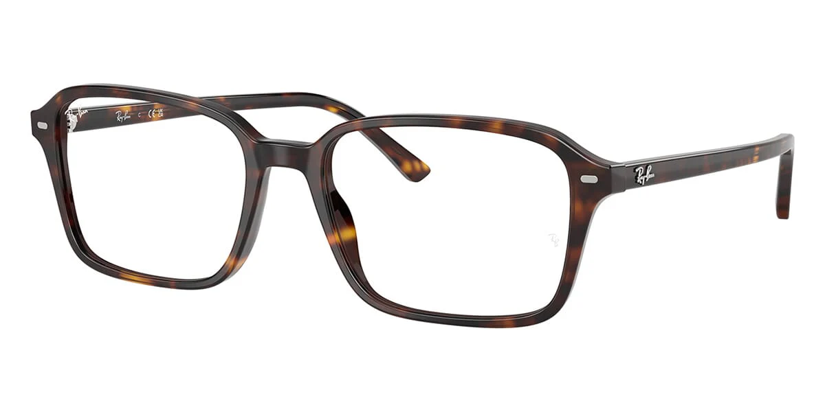 Ray-Ban Raimond RB 5431 2012