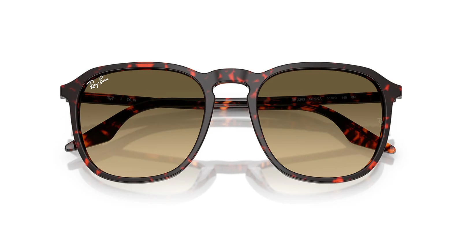 Ray-Ban RB 2203 1429/0A - Image 4