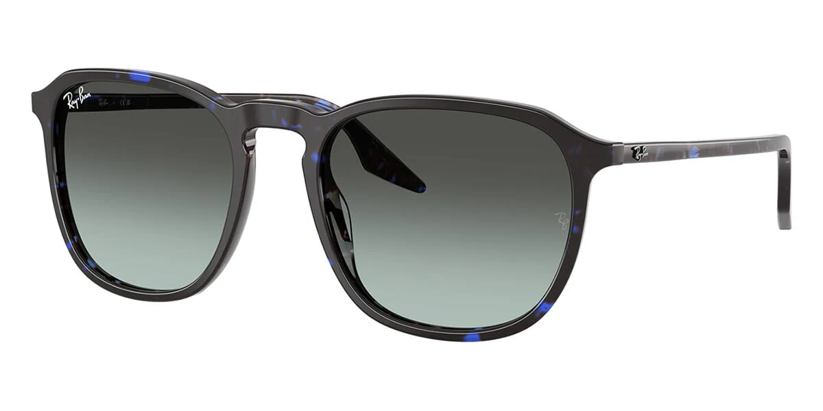 Ray-Ban RB 2203 1430/GK