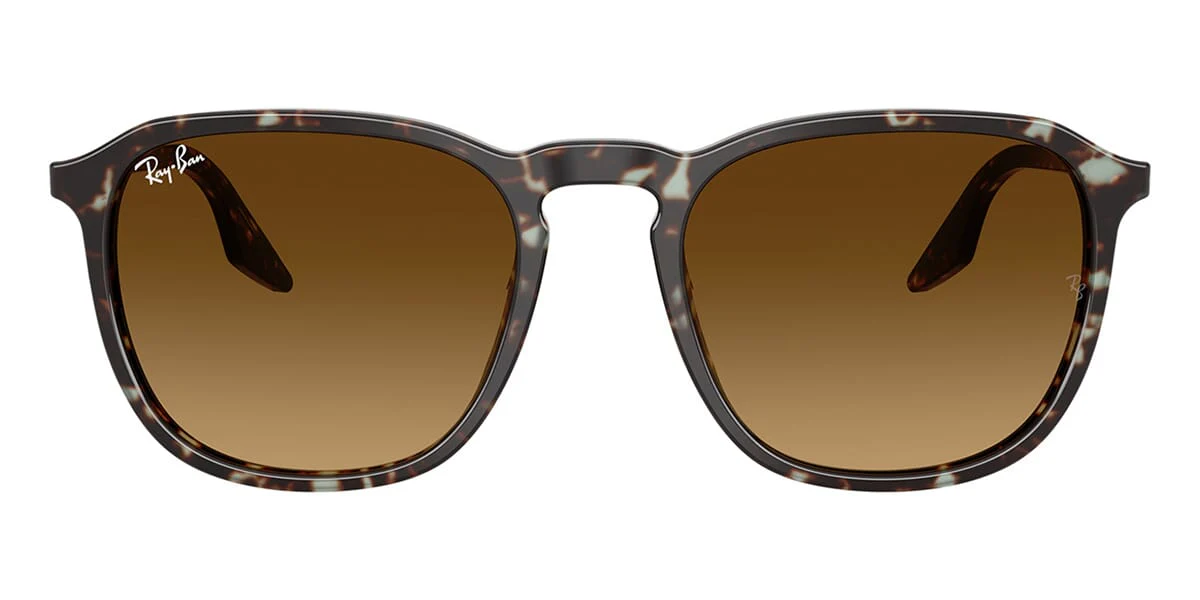Ray-Ban RB 2203 1431/85 - Image 2