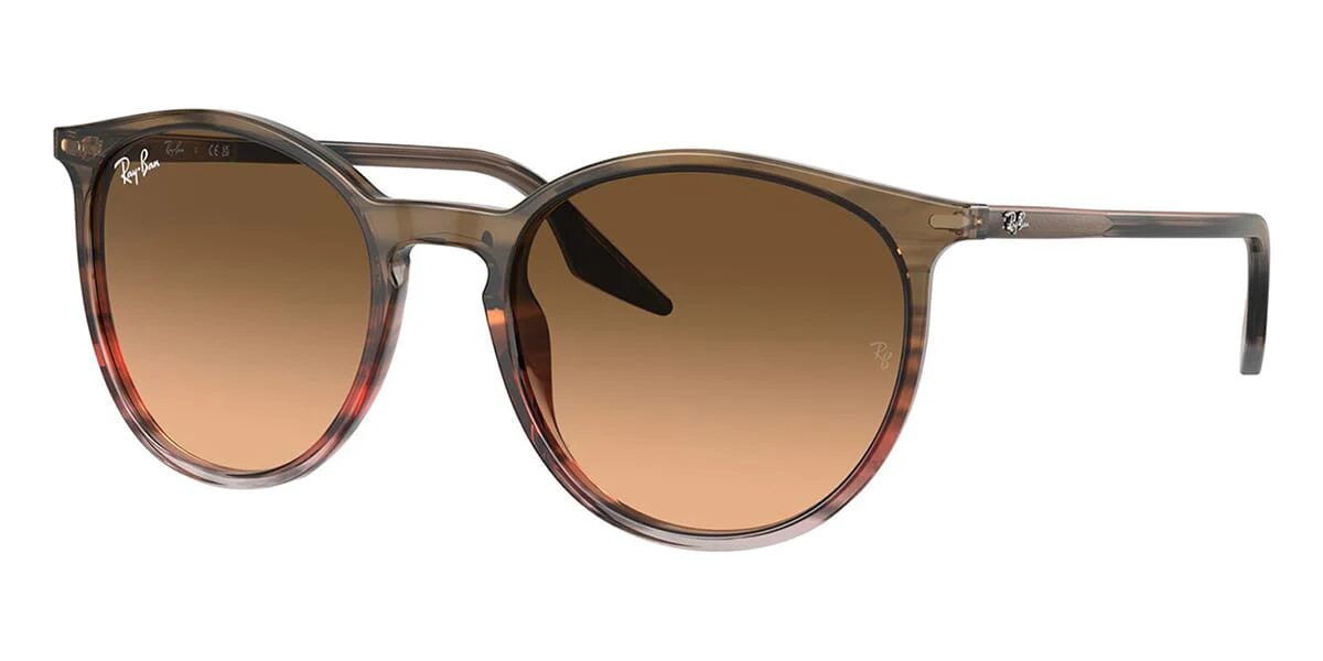 Ray-Ban RB 2204 1395/3B