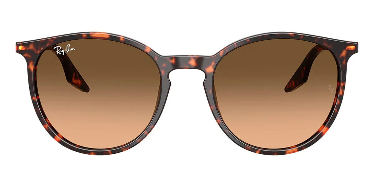 Ray-Ban RB 2204 1429/3B - Image 2