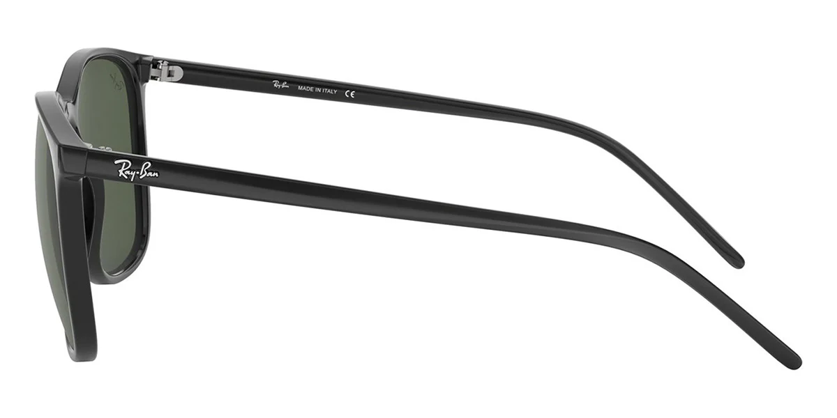 Ray-Ban RB 4387 601/71 - As Seen On Max Minghella & Wisin - Image 3