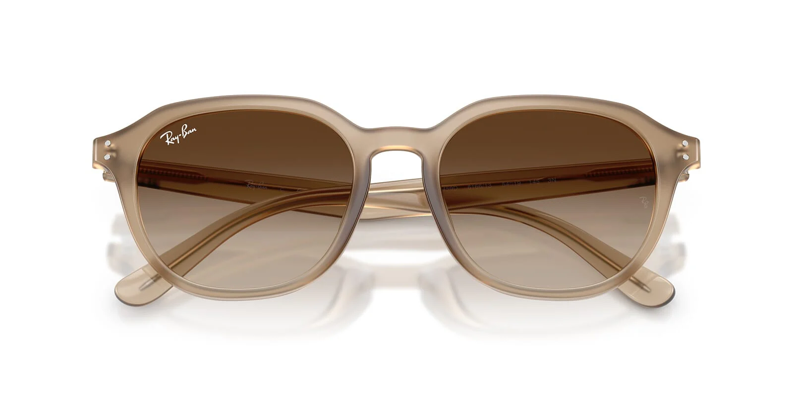 Ray-Ban RB 4459D 6166/13 - Image 4