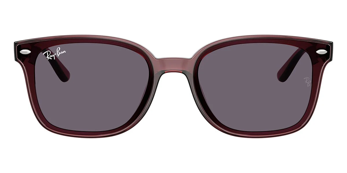 Ray-Ban RB 4461D 6593/73 - Image 2