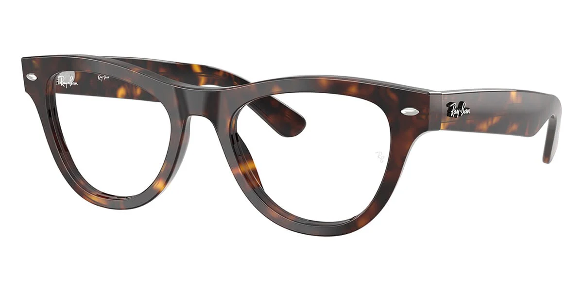 Ray-Ban RB 5510 2012