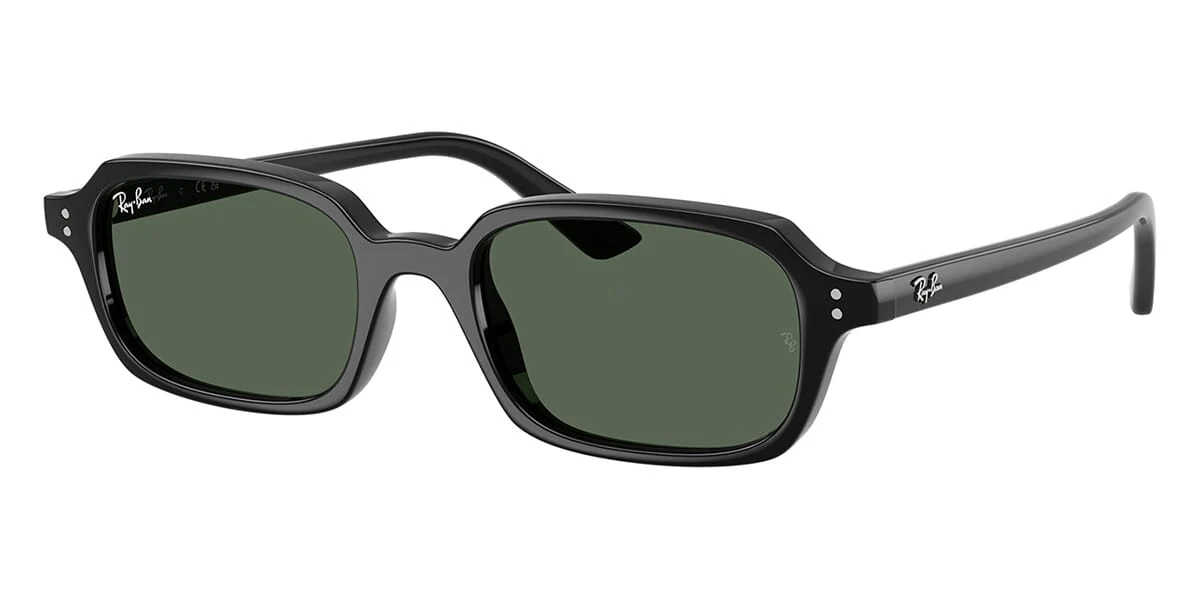 Ray-Ban Zuri RB 4455 6677/71