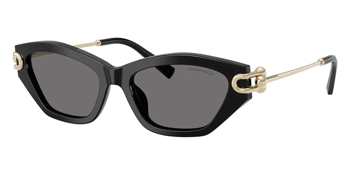Tiffany & Co TF4231U 8001/81 Polarised