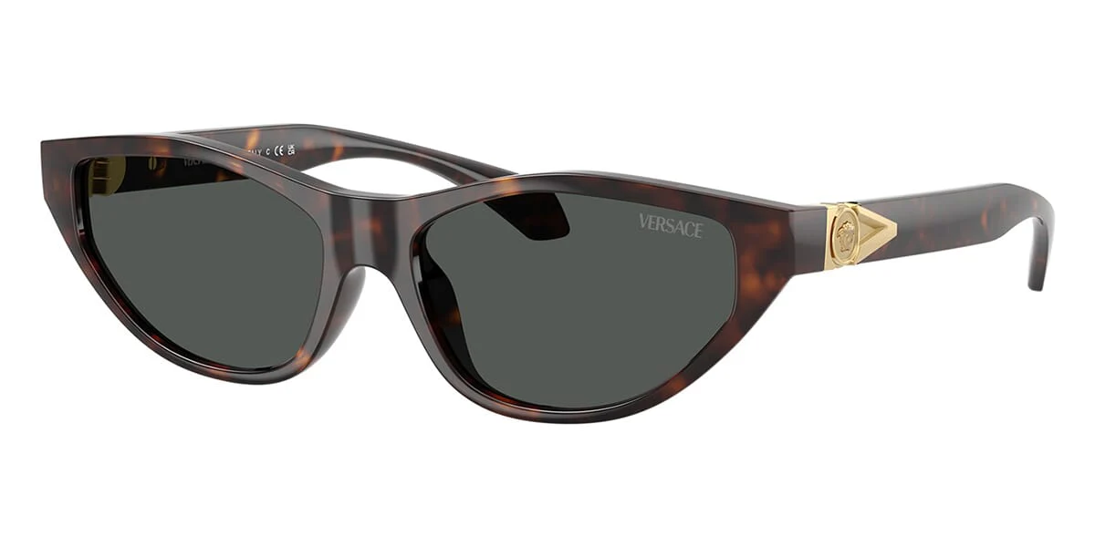 Versace 4491U 108/87