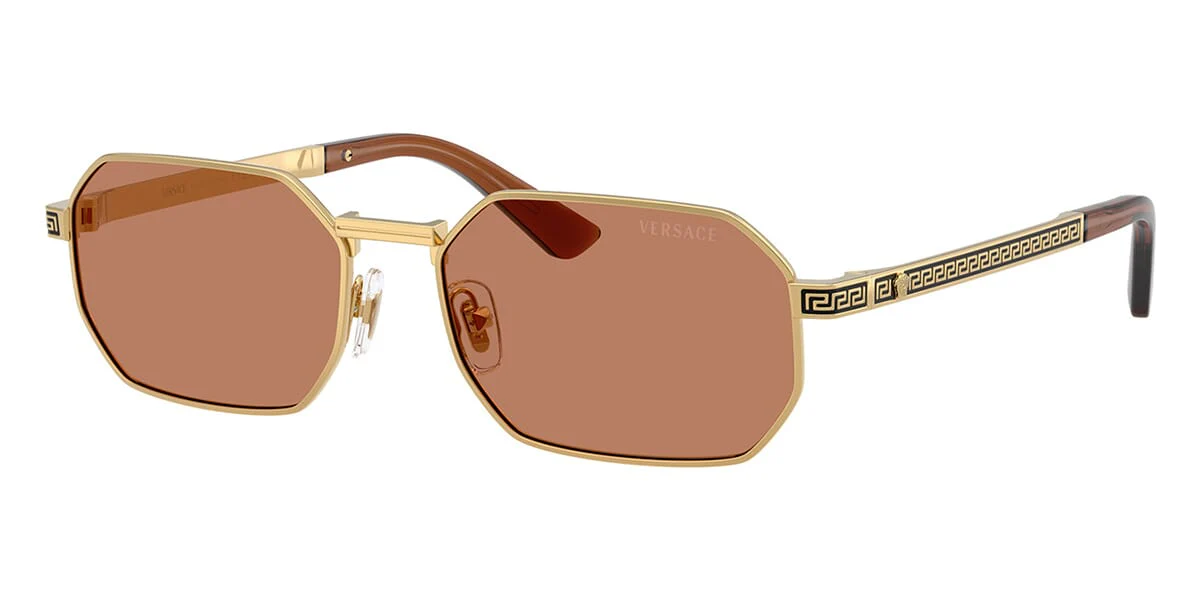Versace VE2297 1002/73